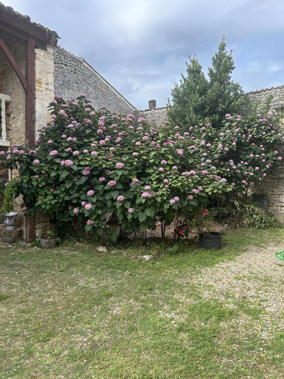 Chambres Et Table D'Hotes Maison Garesche Nieulle-sur-Seudre Eksteriør billede